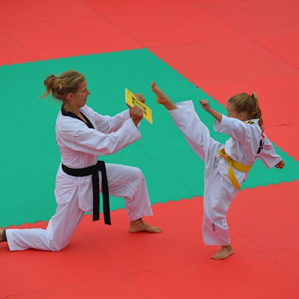 Taekwon-do