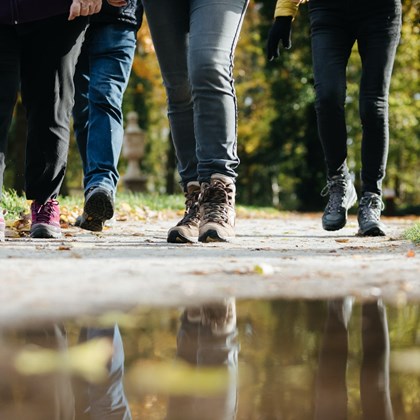 HVDSG Wandelclub Slochteren 20191119 5016